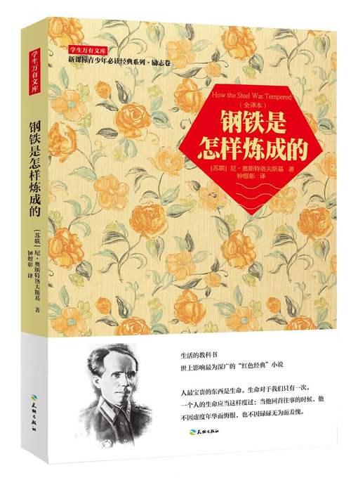 Title details for 钢铁是怎样炼成的 by （苏）尼·奥斯特洛夫斯基 - Wait list